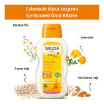 Weleda Calendula Organik Nemlendirici Vücut Losyonu 200 ml - 3