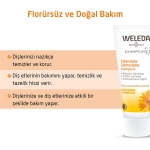 Weleda Calendula Özlü Organik Diş Macunu 75ml - Thumbnail