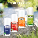 Weleda Nar Özlü Roll On Deodorant 50 ml - Thumbnail